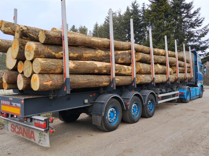 image DREWNO JESIONOWE OKRĄGŁE W KORZE  EUROEXPO-NET