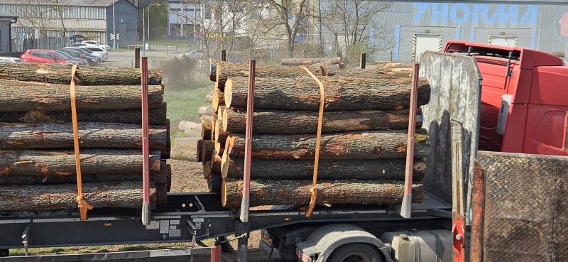 image DREWNO DĘBOWE OKRĄGŁE W KORZE  EUROEXPO-NET