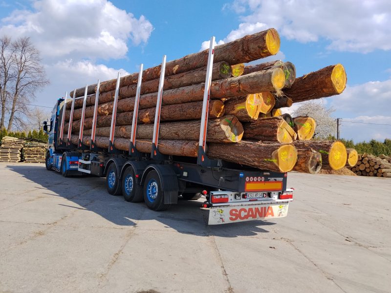 DREWNO MODRZEWIOWE OKRĄGŁE W KORZE 