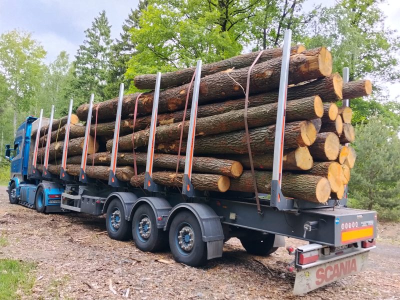 DREWNO DĘBOWE OKRĄGŁE W KORZE 