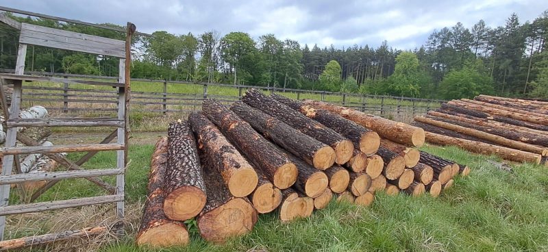 DREWNO SOSNOWE OKRĄGŁE W KORZE 
