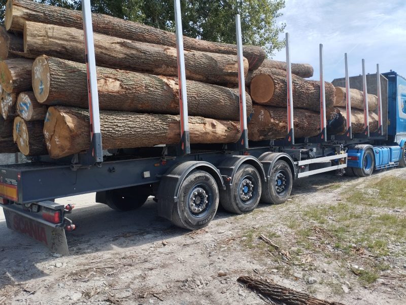DREWNO DĘBOWE OKRĄGŁE W KORZE 
