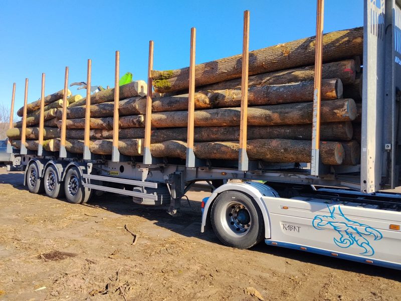 sprzedam JESION dł. 3/4m śr. 30-50cm