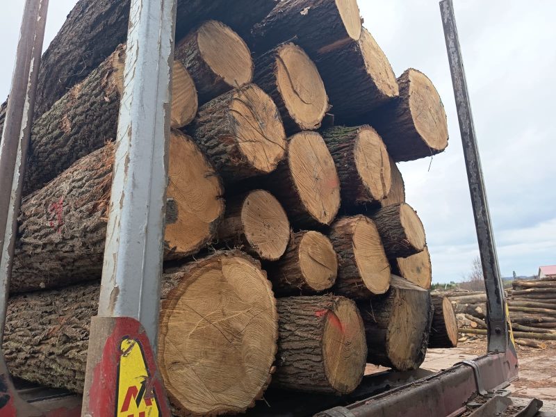 sprzedam DĄB  dł. 4/5/6m śr. 30-50cm