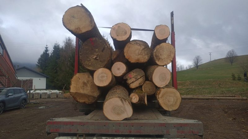 sprzedam JESION  dł. 3/4/5m śr. 35-55cm