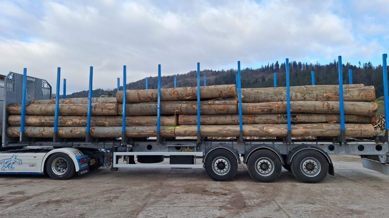 SPRZEDAM BUK  dł. 4/6m śr. 35-50cm