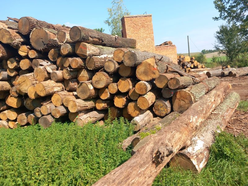 KŁODY DĘBOWE