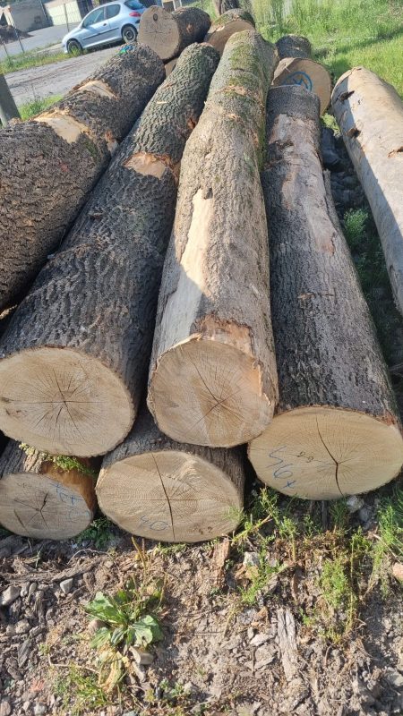 sprzedam Jesion  Długości :  3/4/5  m  średnice: 35-55 cm