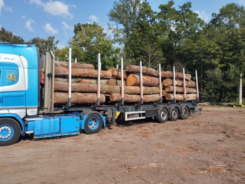 sprzedam DĄB dł. 2,5/3/4m śr. 40-60cm
