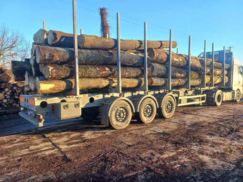 image sprzedam JESION dł. 4/5/6m  EUROEXPO-NET