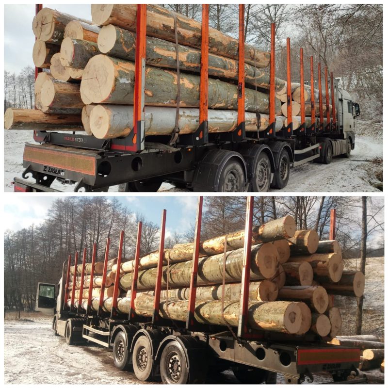 image sprzedam BUK dł. 4/5/6m  EUROEXPO-NET