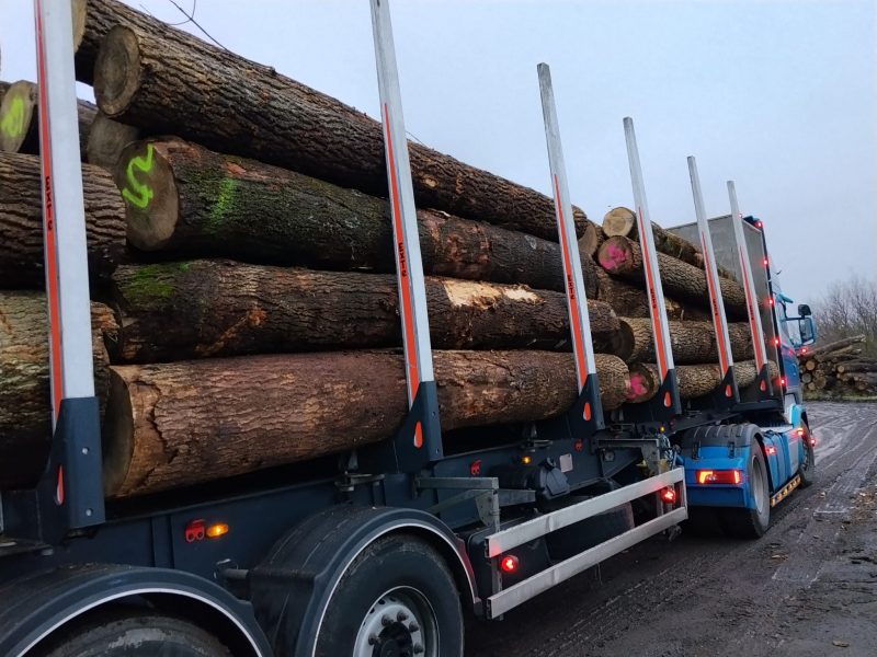 image sprzedam JESION dł. 3/4m  EUROEXPO-NET