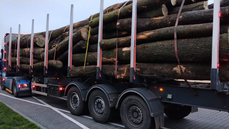 image sprzedam JESION dł. 3/4/5m  EUROEXPO-NET