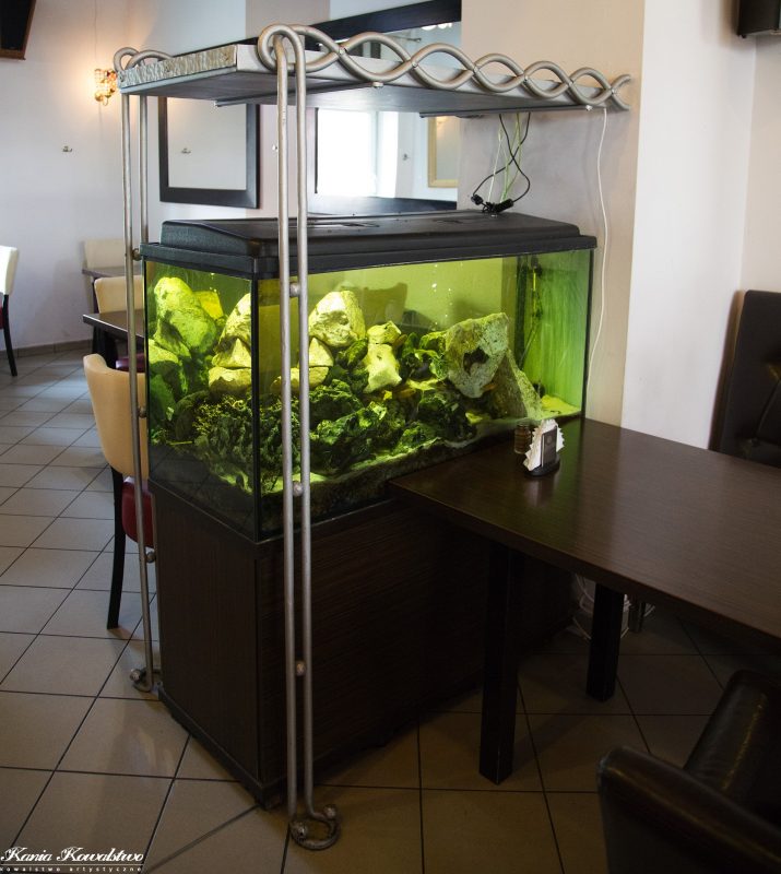 image curiosities Brzęk młotka uderzającego 